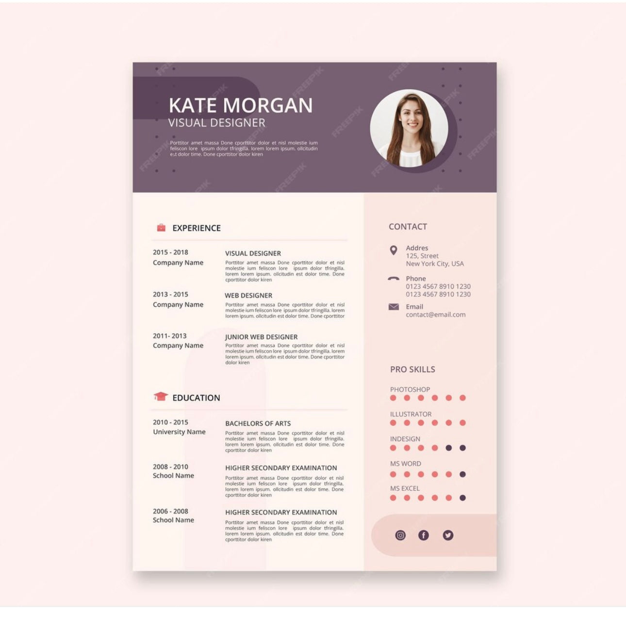 Professional CV