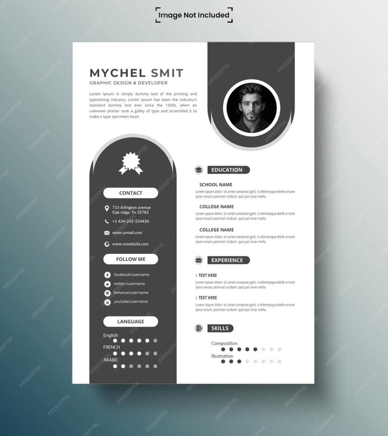 Professional CV